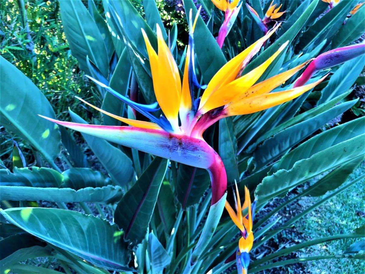 Surf Beach_Santa Barbara Secret Gardens 리베라그란데 외부 사진